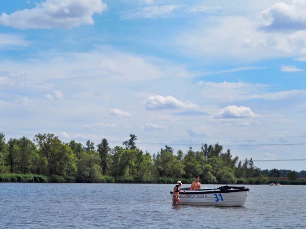 Een dag naar Natuurpark De Biesbosch in combinatie met Breda - vaarroute door de Biesbosch - zelf varen door de Biesbosch 