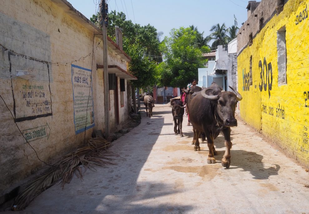 Reizen naar Hampi, verborgen parel van Zuid India Anegundi village, travel guide to Hampi India 