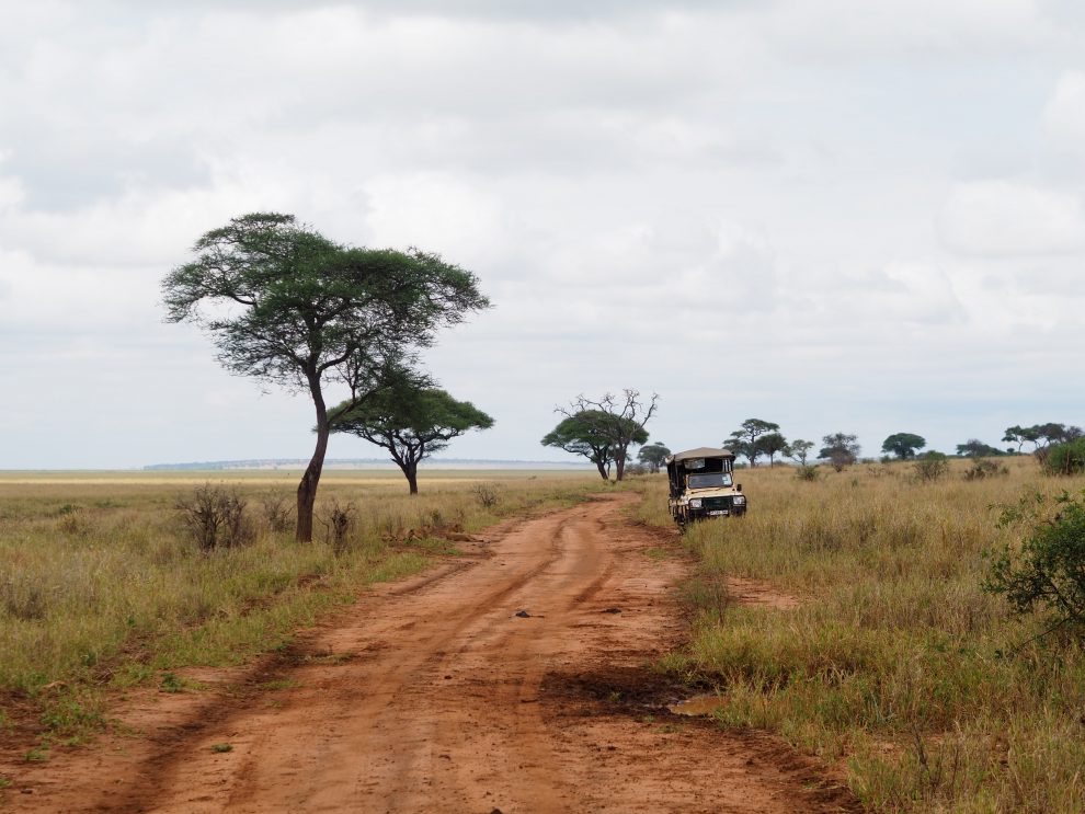 Safari rondreis door Tanzania. National Park Tarangire. Makasa Safari. Een safari boeken in het laagseizoen 