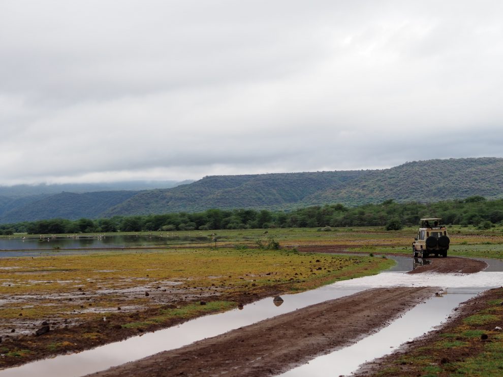 Safari rondreis door Tanzania. National Park National Park Lake Manyara. Makasa Safari. Een safari boeken in het laagseizoen.