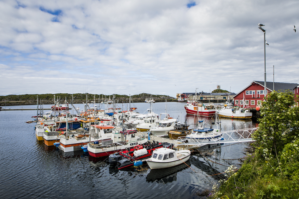 Vakantie Vesterålen Norway - lofoten eilanden - bezienswaardigheden - Øksnes Vestbygd - Sto Vakantie Vesterålen Norway - lofoten eilanden - bezienswaardigheden - Øksnes Vestbygd - Sto