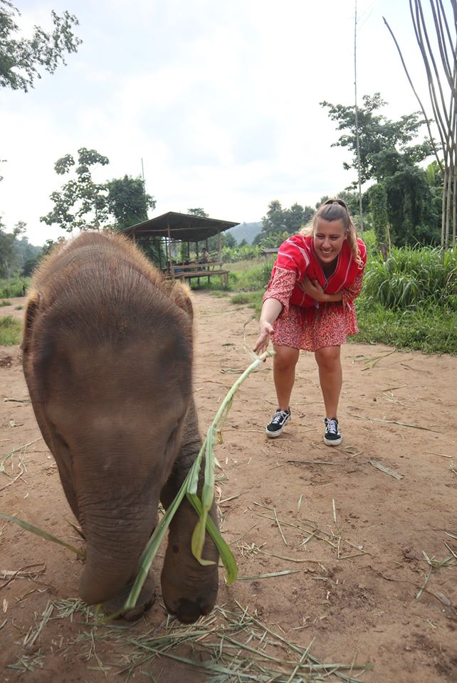 Olifantenopvang in Thailand - olifanten knuffelen en wassen ervaring/review - Bamboo Elephant Family Care 