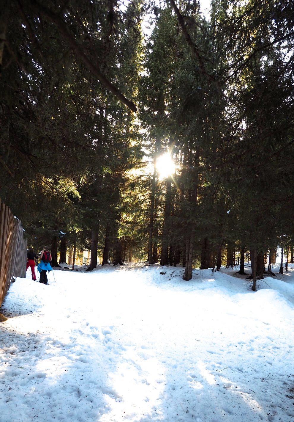 skien in Ischgl - wintersport - winter wandelen in Ischgl 