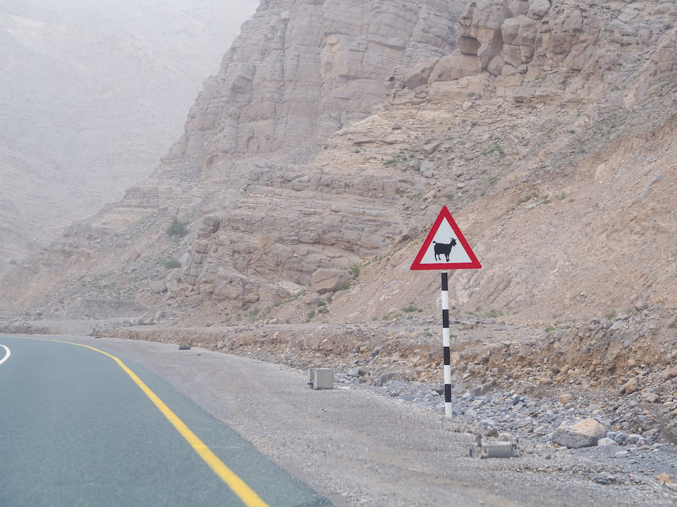 Jebel Jais Flight: de langste zipline ter wereld in Ras Al Khaimah.