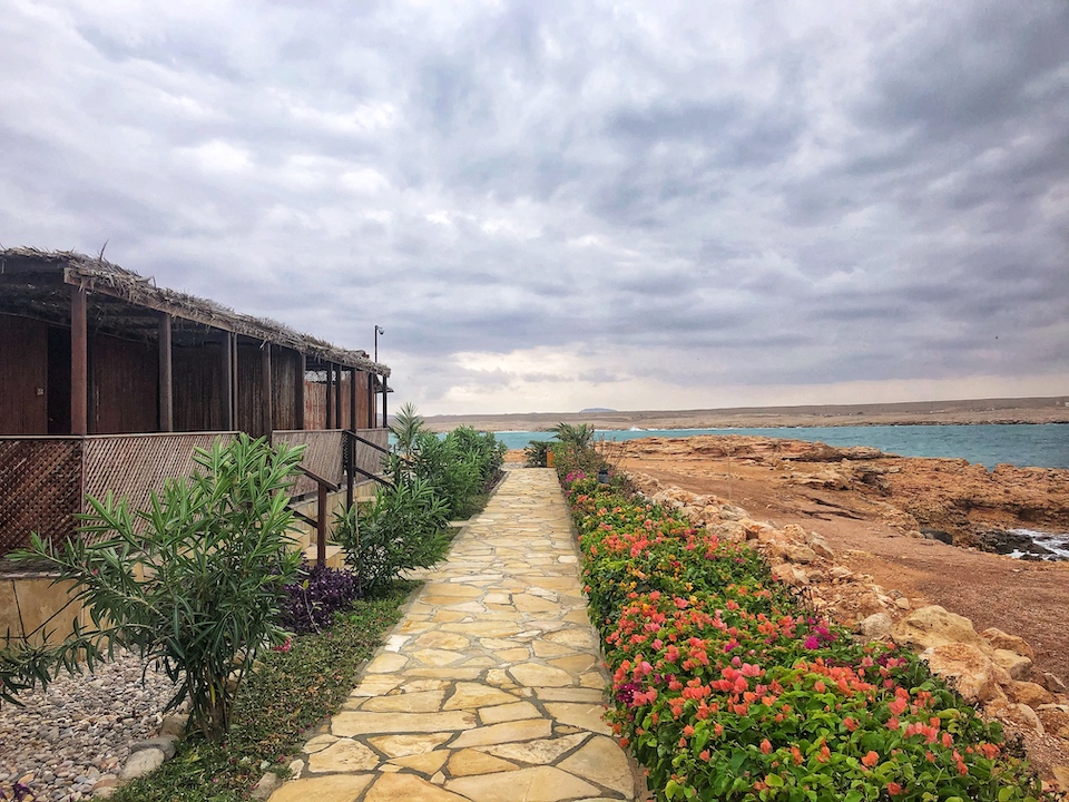 Ras Al Jinz Turtle Reserve - de bezienswaardigheden en beste reisroute voor 9 dagen. Ras Al Jinz Turtle Reserve - de bezienswaardigheden en beste reisroute voor 9 dagen.