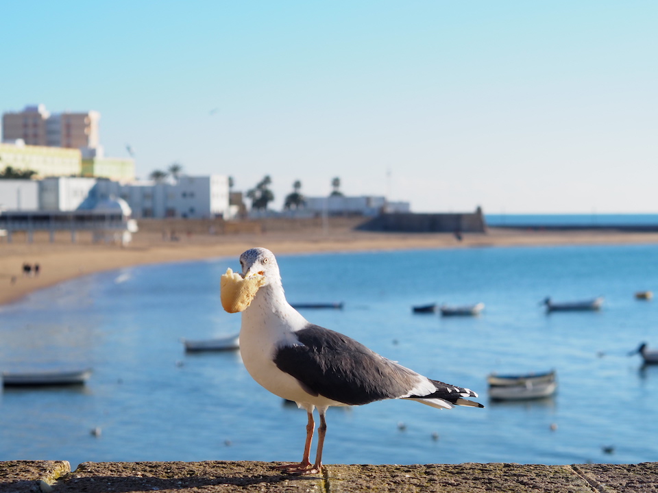 La Caleta: het strand van Cádiz