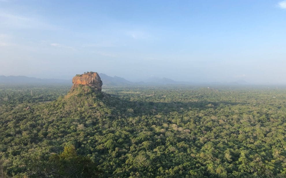 Pidurangala Rock / Loin Rock beklimmen rondreis Sri Lanka