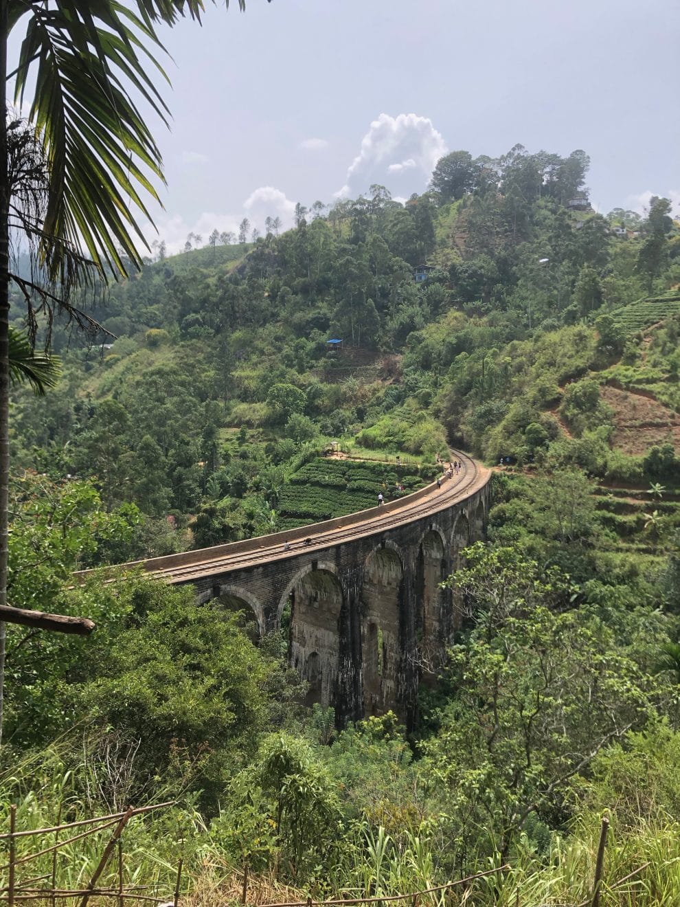 mooiste treinreis in Sri Lanka - Van Kandy naar Ella