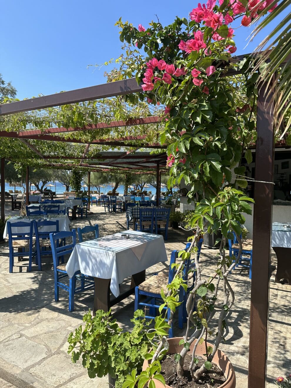 Mooiste stranden van Samos in 2023 - Taverna Mirto Mykali beach