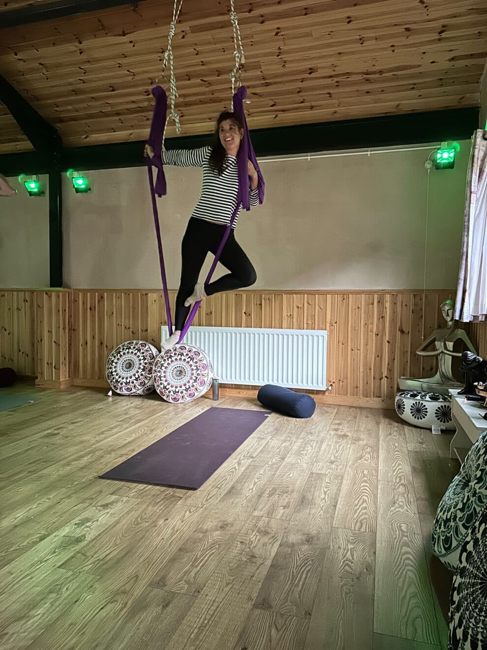 Dingen om te doen in North York Moors - Aerial Yoga bij Yoga & Spice